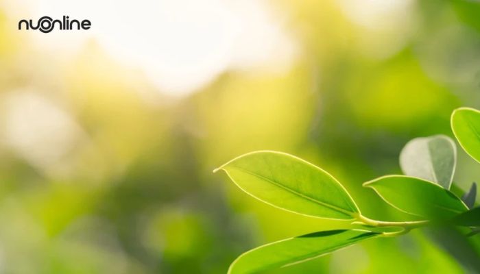 Ternyata Al-Qur’an Sudah Lama Memberi Peringatan Keras Soal Kerusakan Lingkungan: Begini Penjelasan Lengkapnya