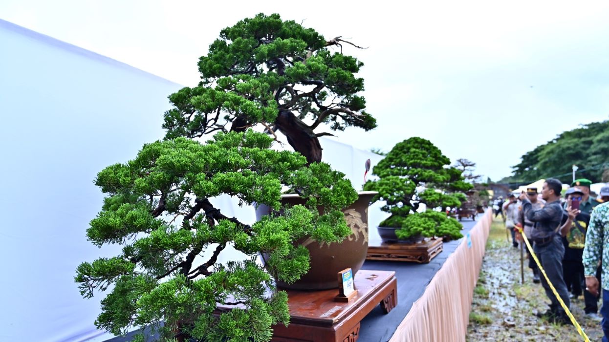 Bupati Amel Buka Pameran Nasional Bonsai dan Exhibition Suiseki Banjarnegara 2025